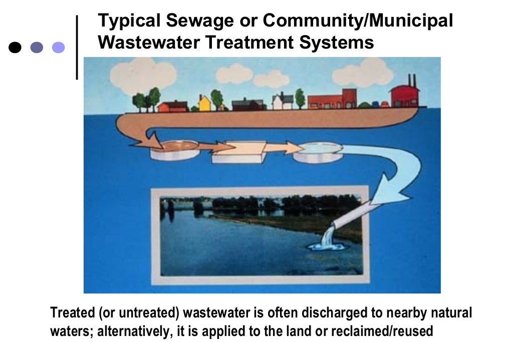 Microbial removal during sewage treatment