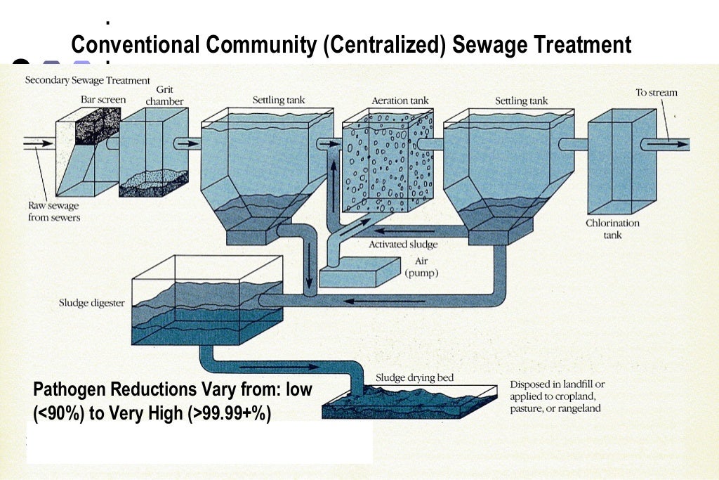 Microbial removal during sewage treatment