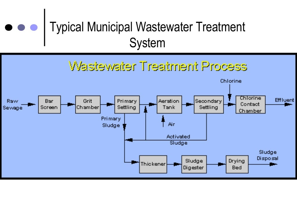 Microbial removal during sewage treatment