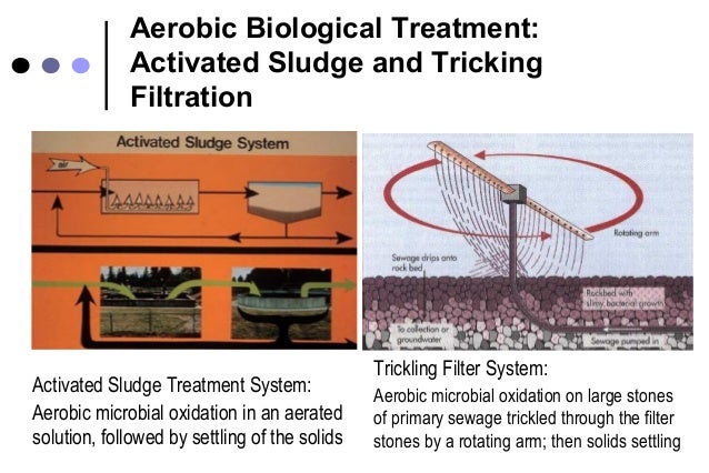 Microbial removal during sewage treatment