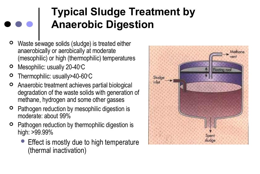 Microbial removal during sewage treatment