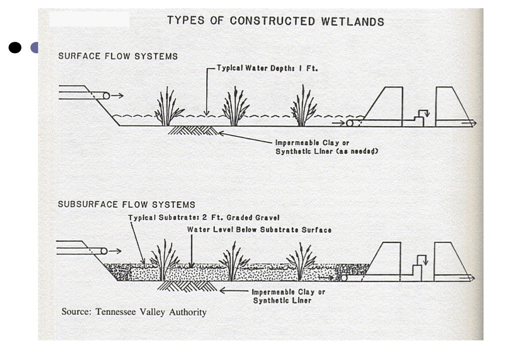 Microbial removal during sewage treatment