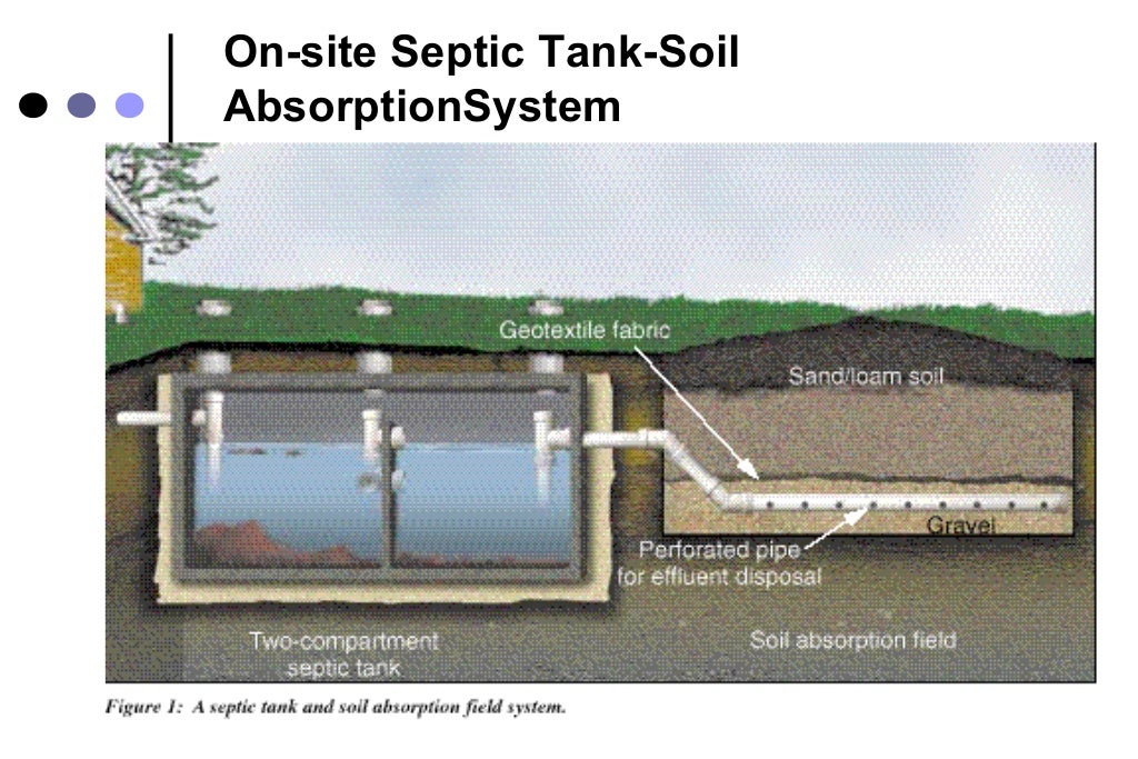 Microbial removal during sewage treatment