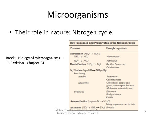 Brock biology of microorganisms citation
