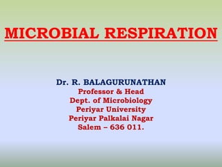 MICROBIAL RESPIRATION
Dr. R. BALAGURUNATHAN
Professor & Head
Dept. of Microbiology
Periyar University
Periyar Palkalai Nagar
Salem – 636 011.
 