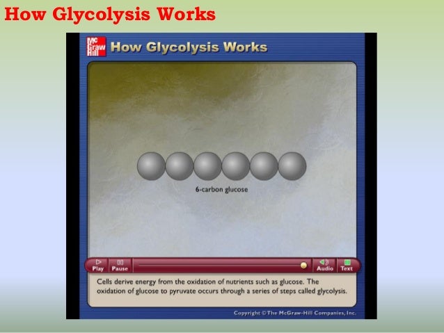 microbial respiration how glycolysis works