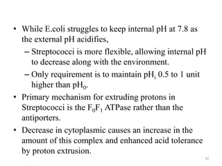 • While E.coli struggles to keep internal pH at 7.8 as
the external pH acidifies,
– Streptococci is more flexible, allowing internal pH
to decrease along with the environment.
– Only requirement is to maintain pHi 0.5 to 1 unit
higher than pH0.
• Primary mechanism for extruding protons in
Streptococci is the F0F1 ATPase rather than the
antiporters.
• Decrease in cytoplasmic causes an increase in the
amount of this complex and enhanced acid tolerance
by proton extrusion.
10
 