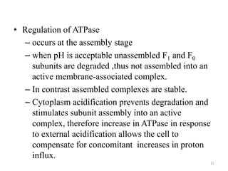 • Regulation of ATPase
– occurs at the assembly stage
– when pH is acceptable unassembled F1 and F0
subunits are degraded ,thus not assembled into an
active membrane-associated complex.
– In contrast assembled complexes are stable.
– Cytoplasm acidification prevents degradation and
stimulates subunit assembly into an active
complex, therefore increase in ATPase in response
to external acidification allows the cell to
compensate for concomitant increases in proton
influx.
11
 