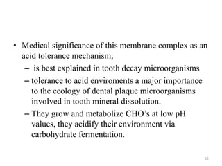 • Medical significance of this membrane complex as an
acid tolerance mechanism;
– is best explained in tooth decay microorganisms
– tolerance to acid enviroments a major importance
to the ecology of dental plaque microorganisms
involved in tooth mineral dissolution.
– They grow and metabolize CHO’s at low pH
values, they acidify their environment via
carbohydrate fermentation.
12
 