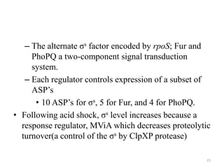 – The alternate σs factor encoded by rpoS; Fur and
PhoPQ a two-component signal transduction
system.
– Each regulator controls expression of a subset of
ASP’s
• 10 ASP’s for σs, 5 for Fur, and 4 for PhoPQ.
• Following acid shock, σs level increases because a
response regulator, MViA which decreases proteolytic
turnover(a control of the σs by ClpXP protease)
15
 