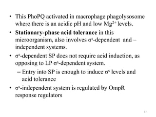 • This PhoPQ activated in macrophage phagolysosome
where there is an acidic pH and low Mg2+ levels.
• Stationary-phase acid tolerance in this
microorganism, also involves σs-dependent and –
independent systems.
• σs-dependent SP does not require acid induction, as
opposing to LP σs-dependent system.
– Entry into SP is enough to induce σs levels and
acid tolerance
• σs-independent system is regulated by OmpR
response regulators
17
 