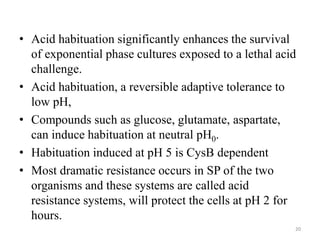 • Acid habituation significantly enhances the survival
of exponential phase cultures exposed to a lethal acid
challenge.
• Acid habituation, a reversible adaptive tolerance to
low pH,
• Compounds such as glucose, glutamate, aspartate,
can induce habituation at neutral pH0.
• Habituation induced at pH 5 is CysB dependent
• Most dramatic resistance occurs in SP of the two
organisms and these systems are called acid
resistance systems, will protect the cells at pH 2 for
hours.
20
 