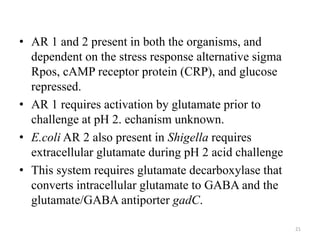 • AR 1 and 2 present in both the organisms, and
dependent on the stress response alternative sigma
Rpos, cAMP receptor protein (CRP), and glucose
repressed.
• AR 1 requires activation by glutamate prior to
challenge at pH 2. echanism unknown.
• E.coli AR 2 also present in Shigella requires
extracellular glutamate during pH 2 acid challenge
• This system requires glutamate decarboxylase that
converts intracellular glutamate to GABA and the
glutamate/GABA antiporter gadC.
21
 