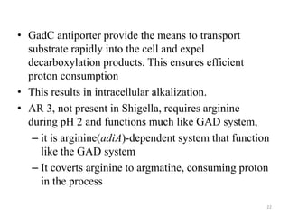 • GadC antiporter provide the means to transport
substrate rapidly into the cell and expel
decarboxylation products. This ensures efficient
proton consumption
• This results in intracellular alkalization.
• AR 3, not present in Shigella, requires arginine
during pH 2 and functions much like GAD system,
– it is arginine(adiA)-dependent system that function
like the GAD system
– It coverts arginine to argmatine, consuming proton
in the process
22
 