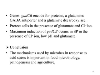 • Genes, gadCB encode for proteins, a glutamate:
GABA antiporter and a glutamate decarboxylase.
• Protect cells in the presence of glutamate and Cl- ion.
• Maximum induction of gadCB occurs in SP in the
presence of Cl- ion, low pH and glutamate.
 Conclusion
• The mechanisms used by microbes in response to
acid stress is important in food microbiology,
pathogenesis and agriculture.
29
 
