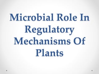 Microbial Role In
Regulatory
Mechanisms Of
Plants
 