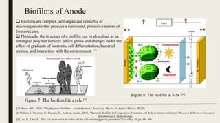 Microbial Solar Cells: Applying Photosynthetic and Electrochemically ...