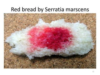 Bread Ropiness Microbial spoilage in foods | PPTX