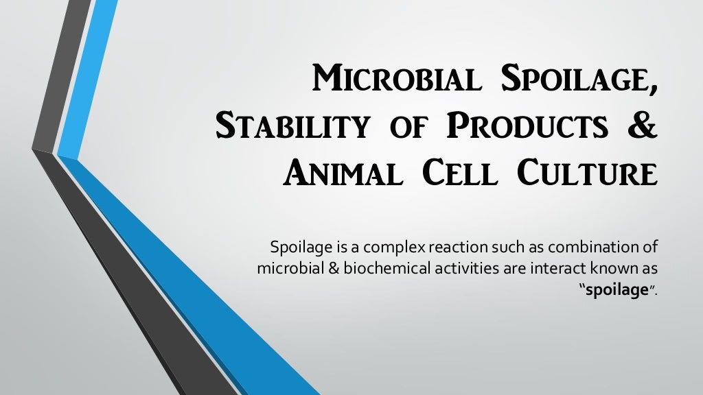 Microbial spoilage, stability of products. Microbiology 1st