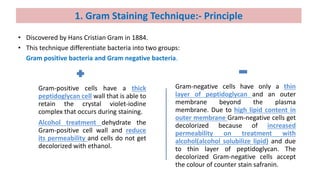 • Discovered by Hans Cristian Gram in 1884.
• This technique differentiate bacteria into two groups:
Gram positive bacteria and Gram negative bacteria.
1. Gram Staining Technique:- Principle
Gram-positive cells have a thick
peptidoglycan cell wall that is able to
retain the crystal violet-iodine
complex that occurs during staining.
Alcohol treatment dehydrate the
Gram-positive cell wall and reduce
its permeability and cells do not get
decolorized with ethanol.
Gram-negative cells have only a thin
layer of peptidoglycan and an outer
membrane beyond the plasma
membrane. Due to high lipid content in
outer membrane Gram-negative cells get
decolorized because of increased
permeability on treatment with
alcohol(alcohol solubilize lipid) and due
to thin layer of peptidoglycan. The
decolorized Gram-negative cells accept
the colour of counter stain safranin.
 