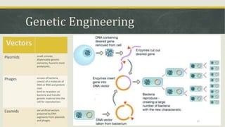 Genetic Engineering
27
Vectors
Plasmids small, circular,
dispensable genetic
elements, found in most
prokaryotic.
Phages viruses of bacteria,
consist of a molecule of
DNA or RNA and protein
coat.
bind to receptors on
bacteria and transfer
genetic material into the
cell for reproduction.
Cosmids are artificial vectors
prepared by DNA
segments from plasmids
and phages.
 
