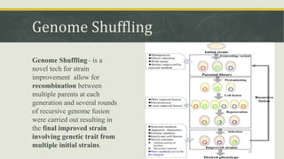 Genome Shuffling
Genome Shuffling– is a
novel tech for strain
improvement allow for
recombination between
multiple parents at each
generation and several rounds
of recursive genome fusion
were carried out resulting in
the final improved strain
involving genetic trait from
multiple initial strains.
30
 