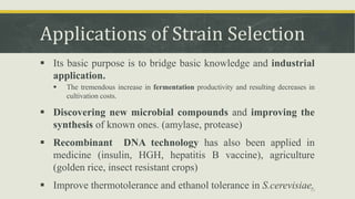 Applications of Strain Selection
 Its basic purpose is to bridge basic knowledge and industrial
application.
 The tremendous increase in fermentation productivity and resulting decreases in
cultivation costs.
 Discovering new microbial compounds and improving the
synthesis of known ones. (amylase, protease)
 Recombinant DNA technology has also been applied in
medicine (insulin, HGH, hepatitis B vaccine), agriculture
(golden rice, insect resistant crops)
 Improve thermotolerance and ethanol tolerance in S.cerevisiae.31
 