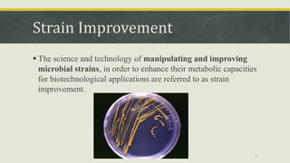 Strain Improvement
 The science and technology of manipulating and improving
microbial strains, in order to enhance their metabolic capacities
for biotechnological applications are referred to as strain
improvement.
6
 