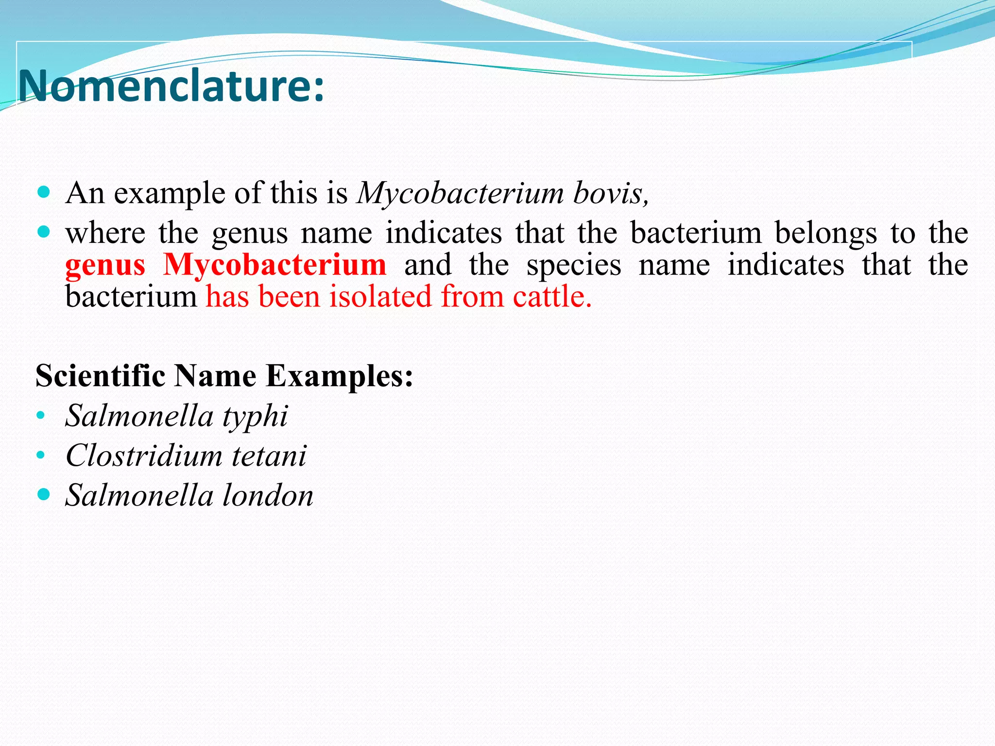 Nomenclature:
 An example of this is Mycobacterium bovis,
 where the genus name indicates that the bacterium belongs to the
genus Mycobacterium and the species name indicates that the
bacterium has been isolated from cattle.
Scientific Name Examples:
• Salmonella typhi
• Clostridium tetani
 Salmonella london
 