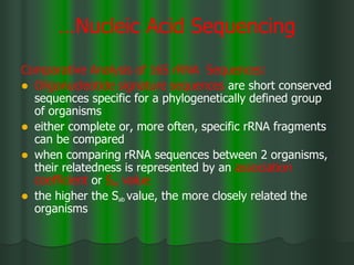 …Nucleic Acid Sequencing
Comparative Analysis of 16S rRNA Sequences:
 Oligonucleotide signature sequences are short conserved
sequences specific for a phylogenetically defined group
of organisms
 either complete or, more often, specific rRNA fragments
can be compared
 when comparing rRNA sequences between 2 organisms,
their relatedness is represented by an association
coefficient or Sab value
 the higher the Sab value, the more closely related the
organisms
 