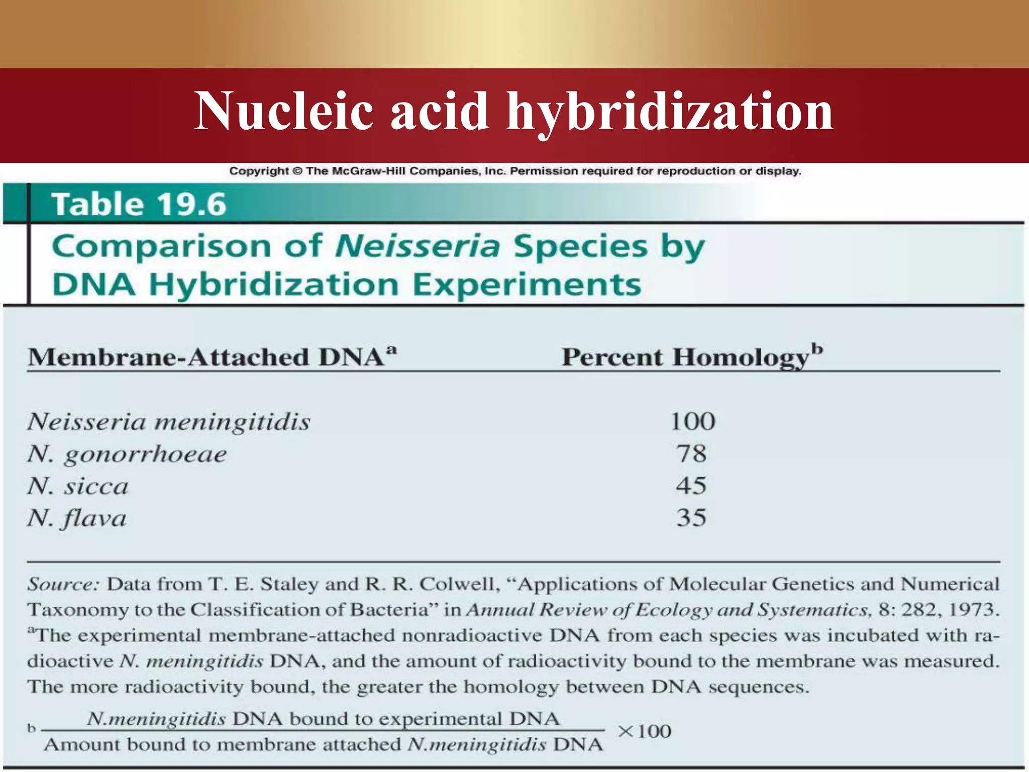 Nucleic acid hybridization
 