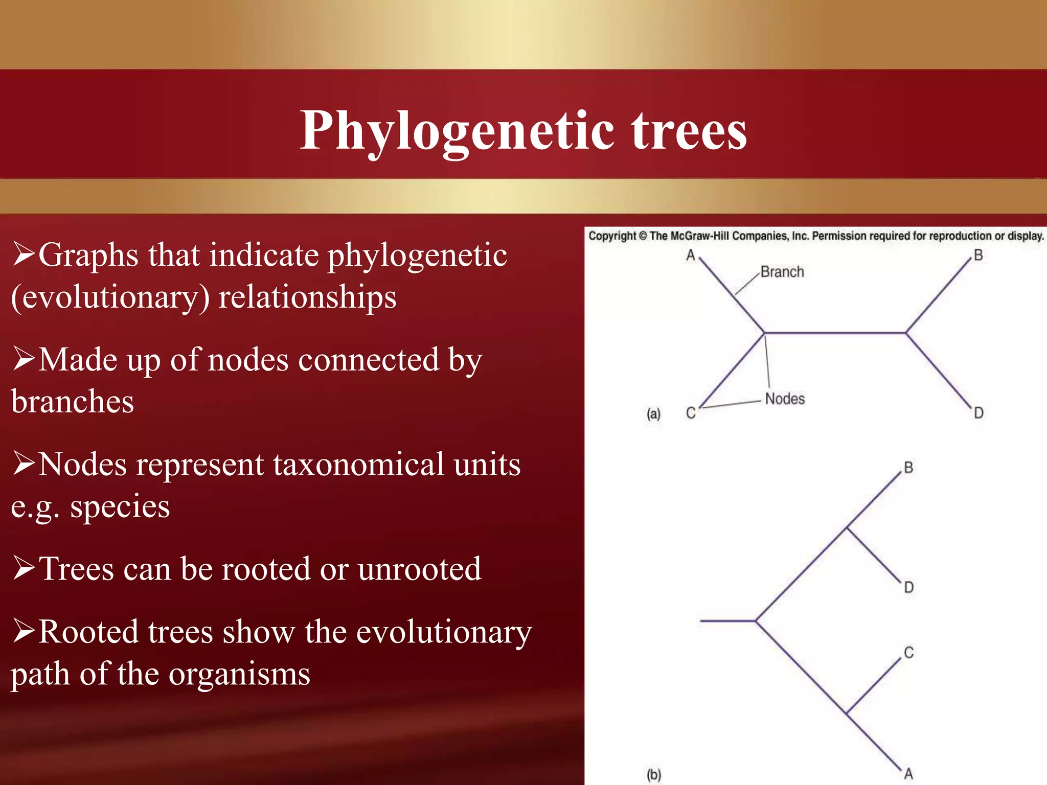 Phylogenetic trees
Graphs that indicate phylogenetic
(evolutionary) relationships
Made up of nodes connected by
branches
Nodes represent taxonomical units
e.g. species
Trees can be rooted or unrooted
Rooted trees show the evolutionary
path of the organisms
 