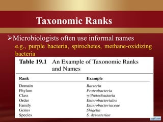 Taxonomic Ranks
Microbiologists often use informal names
e.g., purple bacteria, spirochetes, methane-oxidizing
bacteria
 