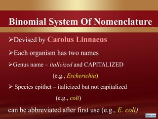 Binomial System Of Nomenclature
Devised by Carolus Linnaeus
Each organism has two names
Genus name – italicized and CAPITALIZED
(e.g., Escherichia)
 Species epithet – italicized but not capitalized
(e.g., coli)
can be abbreviated after first use (e.g., E. coli)
 