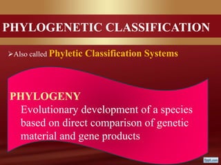 PHYLOGENETIC CLASSIFICATION
Also called Phyletic Classification Systems
PHYLOGENY
Evolutionary development of a species
based on direct comparison of genetic
material and gene products
 