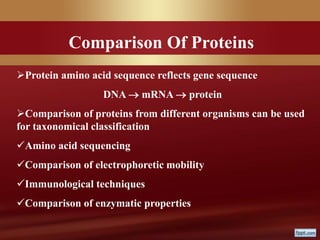Protein amino acid sequence reflects gene sequence
DNA  mRNA  protein
Comparison of proteins from different organisms can be used
for taxonomical classification
Amino acid sequencing
Comparison of electrophoretic mobility
Immunological techniques
Comparison of enzymatic properties
Comparison Of Proteins
 