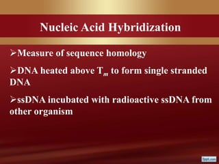 Measure of sequence homology
DNA heated above Tm to form single stranded
DNA
ssDNA incubated with radioactive ssDNA from
other organism
Nucleic Acid Hybridization
 
