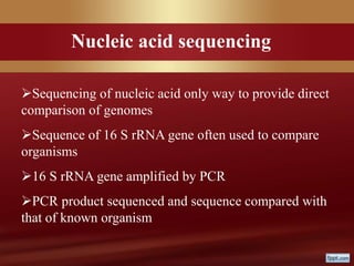 Sequencing of nucleic acid only way to provide direct
comparison of genomes
Sequence of 16 S rRNA gene often used to compare
organisms
16 S rRNA gene amplified by PCR
PCR product sequenced and sequence compared with
that of known organism
Nucleic acid sequencing
 