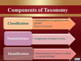 –
–
• Arrangement of organisms into
groups
• (taxa’s or taxon)
Classification
• Assignment of names to taxaNomenclature
• Determination of taxon to which
an isolate belongs
Identification
Components of Taxonomy
 
