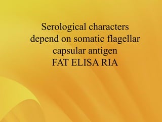 Serological characters
depend on somatic flagellar
capsular antigen
FAT ELISA RIA
 