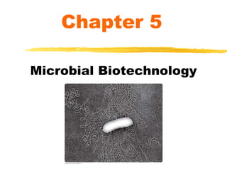 Microbial Biotechnology
Chapter 5
 