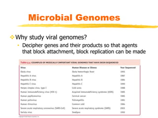 Microbial Genomes
Why study viral genomes?
• Decipher genes and their products so that agents
that block attachment, block replication can be made
 