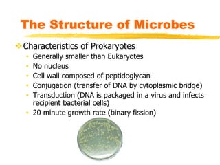 The Structure of Microbes
Characteristics of Prokaryotes
• Generally smaller than Eukaryotes
• No nucleus
• Cell wall composed of peptidoglycan
• Conjugation (transfer of DNA by cytoplasmic bridge)
• Transduction (DNA is packaged in a virus and infects
recipient bacterial cells)
• 20 minute growth rate (binary fission)
 