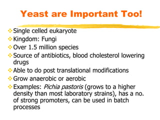 Yeast are Important Too!
Single celled eukaryote
Kingdom: Fungi
Over 1.5 million species
Source of antibiotics, blood cholesterol lowering
drugs
Able to do post translational modifications
Grow anaerobic or aerobic
Examples: Pichia pastoris (grows to a higher
density than most laboratory strains), has a no.
of strong promoters, can be used in batch
processes
 
