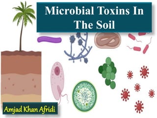 Microbial Toxins In
The Soil
Amjad Khan Afridi
 