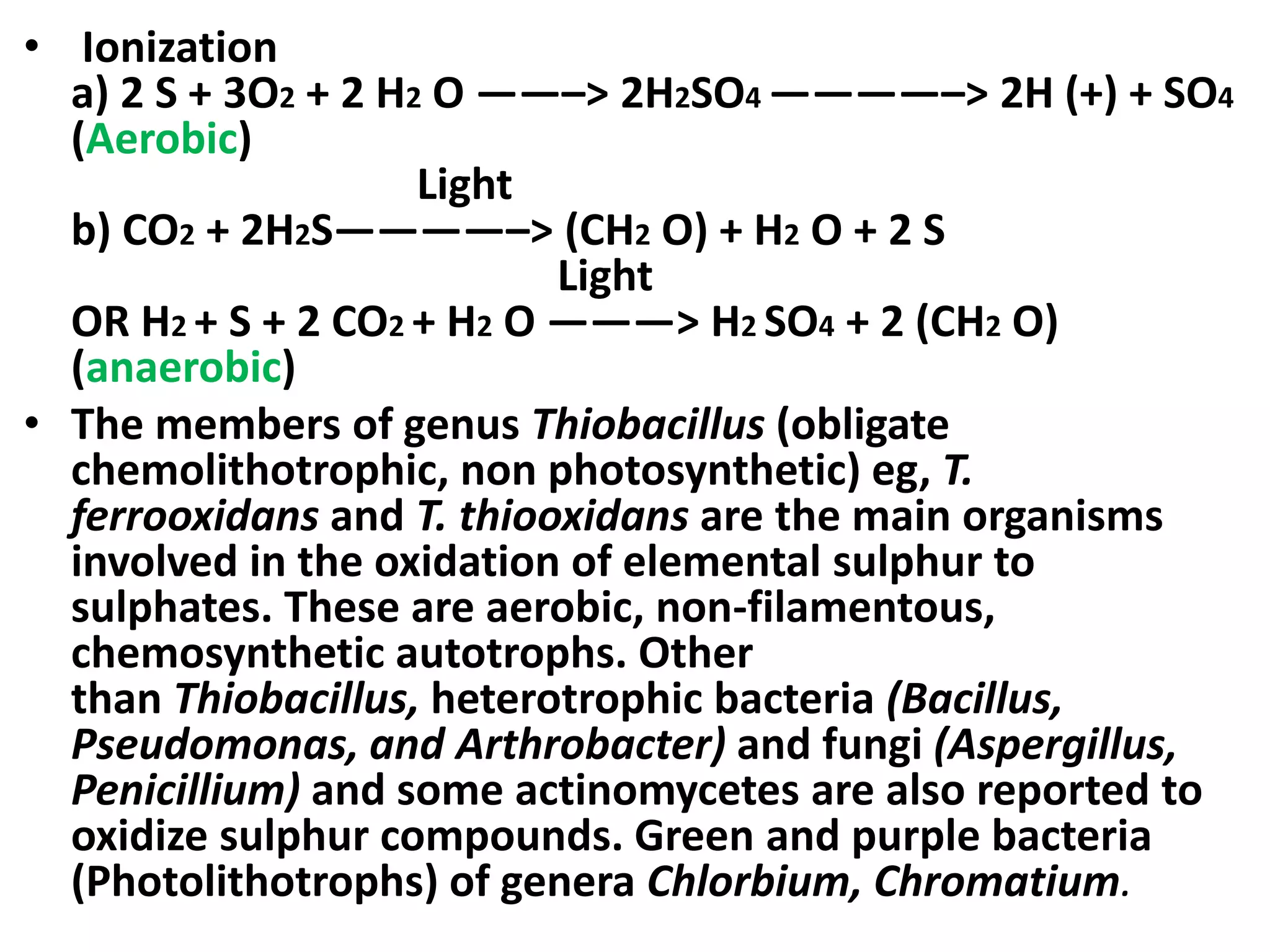You Won'T Believe This Microbial Transformation! - o31m545