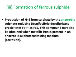 Fe Microbial transformation of s,fe,mn. | PDF