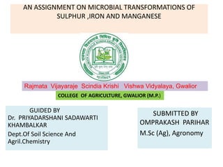 AN ASSIGNMENT ON MICROBIAL TRANSFORMATIONS OF
SULPHUR ,IRON AND MANGANESE
GUIDED BY
Dr. PRIYADARSHANI SADAWARTI
KHAMBALKAR
Dept.Of Soil Science And
Agril.Chemistry
SUBMITTED BY
OMPRAKASH PARIHAR
M.Sc (Ag), Agronomy
Rajmata Vijayaraje Scindia Krishi Vishwa Vidyalaya, Gwalior
COLLEGE OF AGRICULTURE, GWALIOR (M.P.)
 