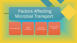Microbial Transport in Subsurface...pptx