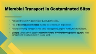Microbial Transport in Subsurface...pptx